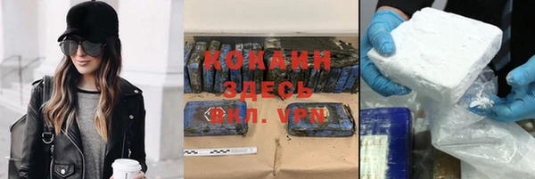 дмт Алексин