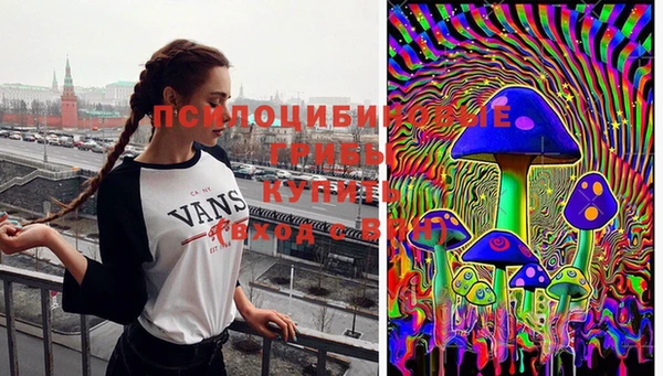 дмт Алексин